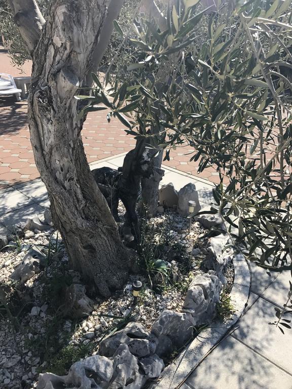 Casa Dolcevita Šibenik Esterno foto